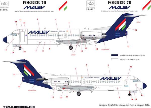 Fokker 70 (Malev)  HAD144027