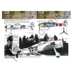 Focke Wulf FW190F-8/A-8 "Black 2" HAD32043