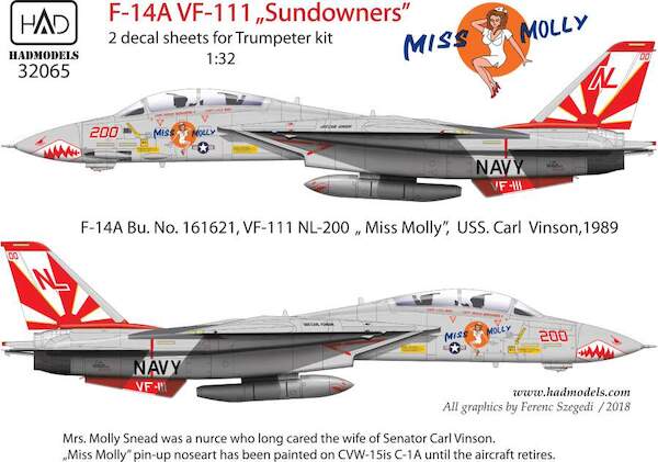 Grumman F14A Tomcat (VF111 "Miss Molly" USS Carl Vinson 1989) with High Visibilty Stencil set HAD3206568