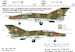 Mikoyan MiG-21 UM 5091 "Dongó" Squadron with star national insignias HAD32078