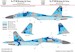 Sukhoi Su27UB (Ukrainian AF "69") HAD32087