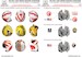 Grumman F-14 Helmet markings and military dress patches HAD32089