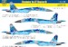 Sukhoi Su27P1M Flanker B (Ukrainian AF) HAD32092