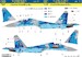 Sukhoi Su27UBM-1 Flanker C (Ukrainian AF Digital Camo) HAD32093