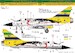 Mirage 2000C "40th anniversary of 1st Air Defence Group, Brasilian Air Force) HAD32099