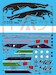 Mirage 2000C "40th anniversary of 1st Air Defence Group, Brasilian Air Force) HAD32099
