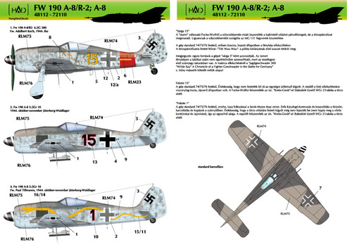 Focke Wulf FW190A-8/R-2  HAD48112