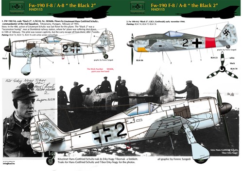 Focke Wuld FW190F-8/A-8 "Black 2" HAD48115