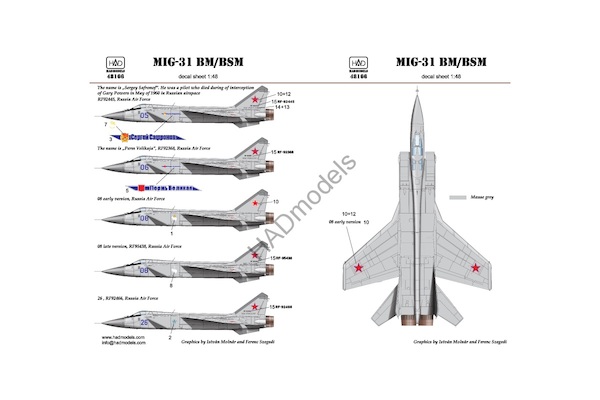 Mikoyan MiG31BM/MSM Foxhound HAD48166