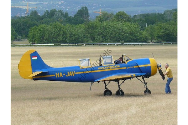 Jakovlev Jak52 (HA-JAV Gyulia Vari, Hungarian AF) HAD48167