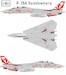 Grumman F14A Tomcat (VF111 "Miss Molly" USS Carl Vinson 1989) HAD48194