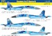 Sukhoi Su27P1M Flanker B (Ukrainian AF) HAD48257