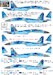 Sukhoi Su27P1M Flanker B (Ukrainian AF) HAD48257