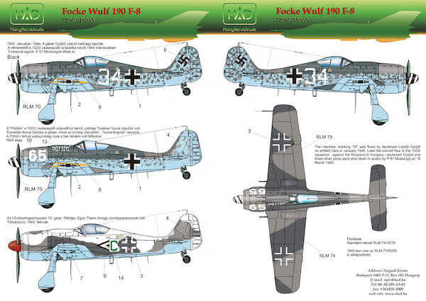 Focke Wulf FW190F-8 (Hungarian pilots in the Luftwaffe) HAD72060