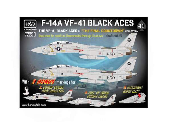 F14A Tomcat (VF41 Black Aces) (Tom cats in action  - The Final Countdown)  HAD72250