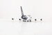 Airbus A380 Lufthansa 100 years D-AIMH  A580901