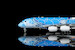 Airbus A380 ANA Flying Honu-Lani (Blue Turtle ) JA381A  A582301