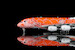 Airbus A380 ANA Flying Honu-Lani (Orange Turtle) JA383A A582303