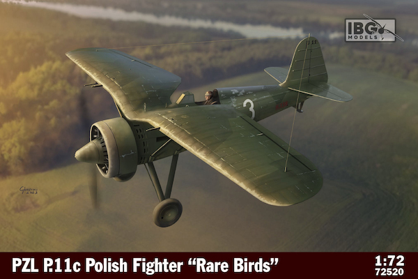 PZL P.11c Polish Fighter "Rare Birds" 72520