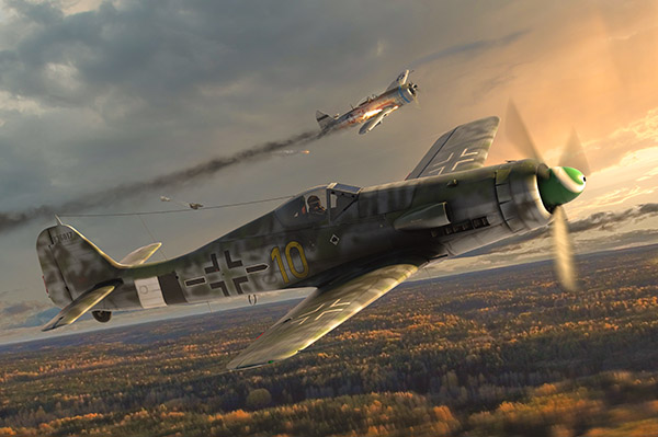 Focke-Wulf Fw 190D-13 (Nordenham Production Series)  72535