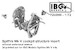 Spitfire Mk V Cockpit Structure Insert (without underseat armour) (IBG) IBG72U090