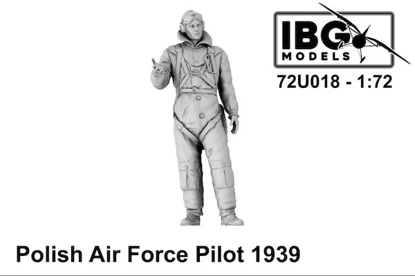 Polish Air Force Pilot 1939 IBG72U018