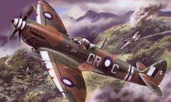 Spitfire MKVIII (RAAF)  48067