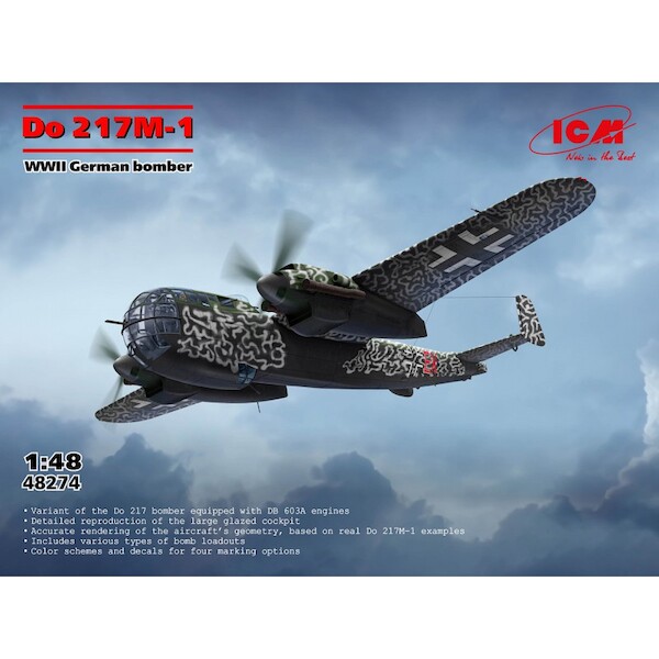Dornier Do217M-1, WWII German bomber  48274