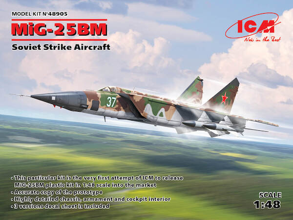 Mikoyan MiG-25BM Foxbat Strike Aircraft ICM48905