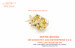 US Aircraft Carrier USS Enterprise CV6  (Late) Detail up set (Trumpeter)  IM-535007R1