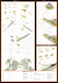 German Aircraft Carrier Graf Zeppelin Brass Mast Set  IMS-35001