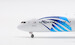 Boeing 787-9 Dreamliner Egypt Air SU-GER  IF789MS0519 image 2