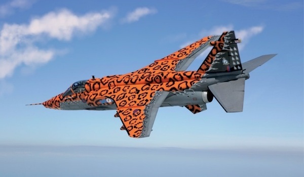 Jaguar GR3 'Big Cat" 1357