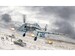 Junkers Ju87G-2 Kanonenvogel 341466