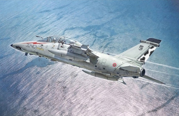 AMX-T Twin seater 1471
