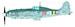 Macchi MC205 Veltro  2519