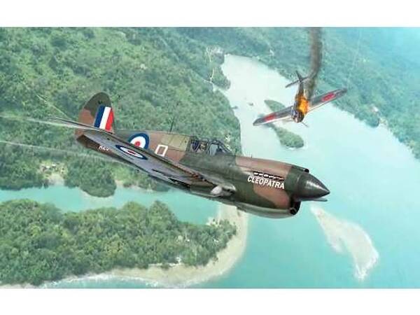 Curtiss P40E/K Kittyhawk (6 options, USAAF, RAAF, RAF, RCAF) 342795