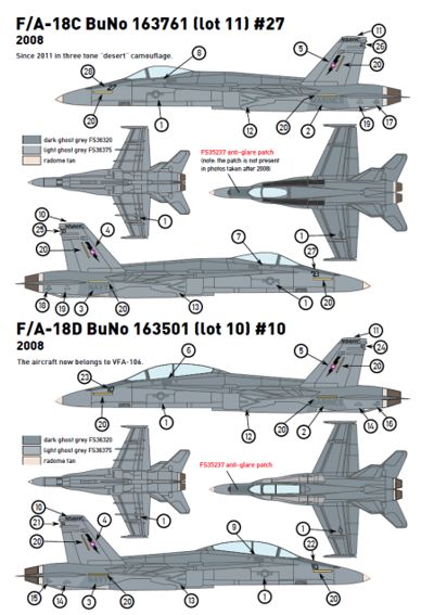 Top Gun Grey Bugs part 1 (F/A18 of the NSAWC)  JBR44023