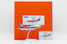 Boeing 737-200 All Nippon Airways JA8410 Polished  EW2732002