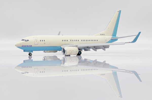 Boeing 737-700BBJ Korean Air HL8222 Flaps Down EW2737009A