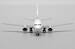 Boeing 737-500 All Nippon Airways "Farewell" JA307K  EW4735006