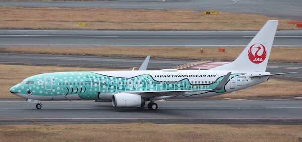 Boeing 737-800 Japan TransOcean Air "Yui Jinbei Jet" JA07RK EW4738013