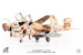 EA6B Prowler US Navy VAQ-133 Wizards, Afghanistan, 2007  JCW-72-EA6B-005