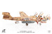 EA6B Prowler US Navy VAQ-133 Wizards, Afghanistan, 2007  JCW-72-EA6B-005