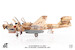 EA6B Prowler US Navy VAQ-133 Wizards, Afghanistan, 2007 JCW-72-EA6B-005