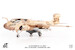 EA6B Prowler US Navy VAQ-133 Wizards, Afghanistan, 2007 JCW-72-EA6B-005