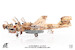 EA6B Prowler US Navy VAQ-133 Wizards, Afghanistan, 2007  JCW-72-EA6B-005