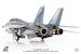 Grumman F14D Tomcat US Navy,  /NE-104 VF-2 Bounty Hunters, 2002  JCW-72-F14-008