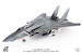 Grumman F14D Tomcat US Navy,  /NE-104 VF-2 Bounty Hunters, 2002  JCW-72-F14-008