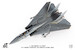 Grumman F14D Tomcat US Navy,  /NE-106 VF-2 Bounty Hunters, 2002  JCW-72-F14-009